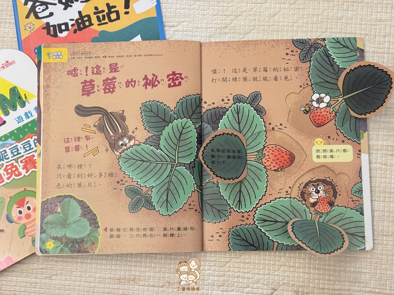團購｜康軒學習雜誌團購優惠，無痛培養孩子自主閱讀力，解放爸媽選書焦慮！〈加贈獨家學習資源〉